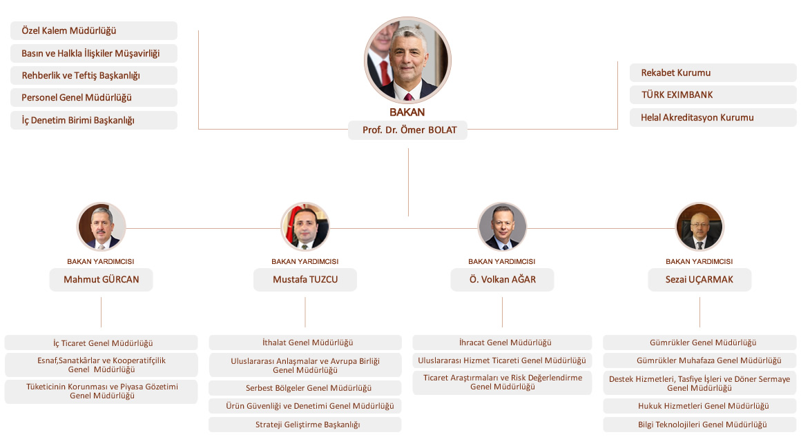 Organizasyon Şeması