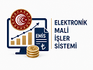 Elektronik Mali İşler Sistemi (EMİS - TEST)
